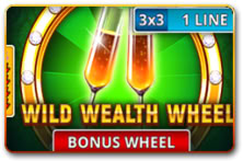 Wild Wealth Wheel 3x3
