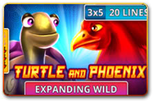 Turtle And Phoenix