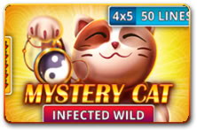 Mystery Cat