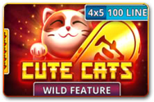 Cute Cats
