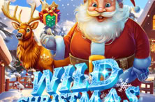 Wild Christmas Fusion Reels