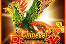 Chinese Phoenix