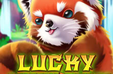 Lucky Ailurus
