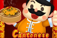 Cantonese Fried Noodles