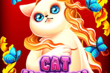 Cat Museum