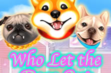 Who Let The Dogs Out