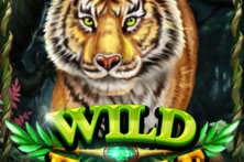 Wild Jungle