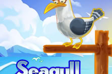 Seagull