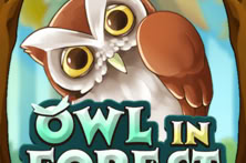 Owl In Forest