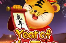Year Of The Tiger