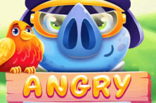 Angry Piggies