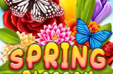 Spring Blossom