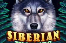 Siberian Wolves