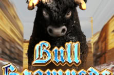 Bull Stampede
