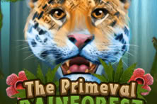 The Primeval Rainforest