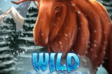 Wild Alaska