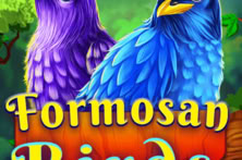 Formosan Birds