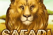 Safari