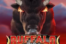 Buffalo Goes Wild