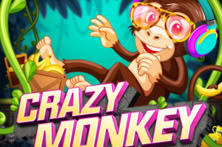 Crazy Monkey
