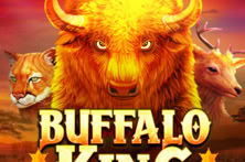 Buffalo King