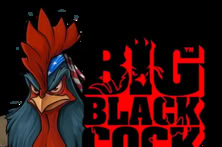 Big Black Cock