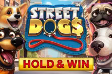 Street Dogs
