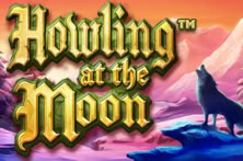 Howling At The Moon