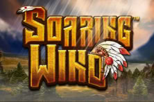 Soaring Wind