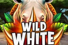 Wild White Rhino
