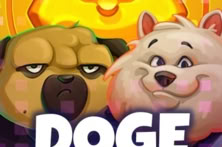 Doge Life