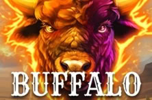 Buffalo Smash