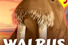 Walrus King