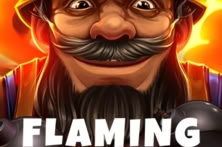 Flaming Frenzy