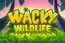 Wacky Wildlife