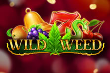 Wild Weed
