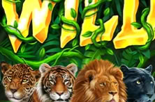 Beasts Joy 30