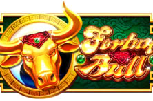 Fortune Bull