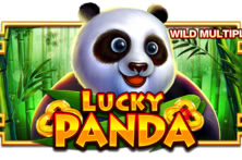 Lucky Panda