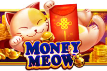 Money Meow