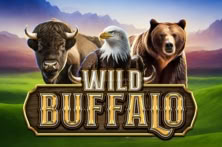 Wild Buffalo