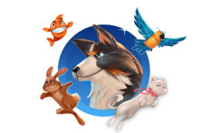 Pets Go Wild