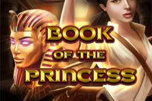 Book Of The Princess