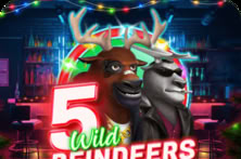 5 Wild Reindeers