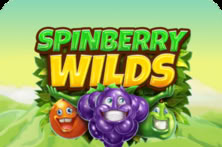 Wilds