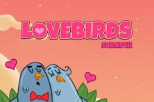 Lovebirds