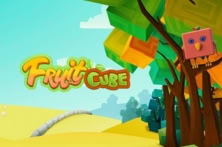Fruit Cube