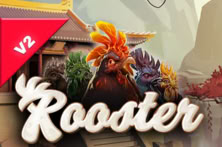 Rooster