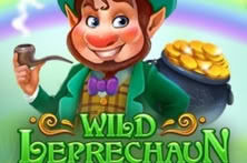 Wild Leprechaun