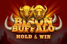 Bison Vs Buffalo